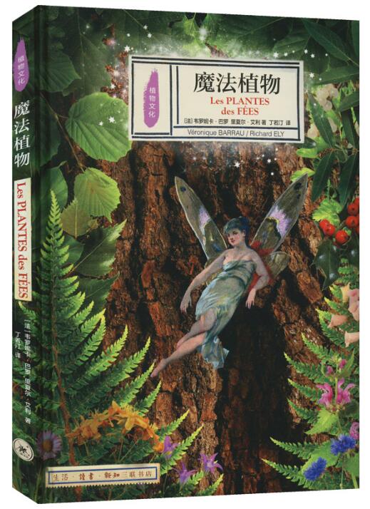 魔法植物.jpg